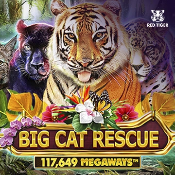 Big Cat Rescue Megaways - WINGBET138