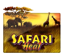 Joker123 : Safari Heat - WINGBET138