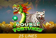 Double Fortunes - WINGBET138