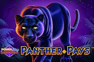Panther Pays Power Play Jackpot - WINGBET138
