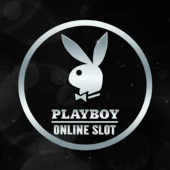 Playboy - WINGBET138